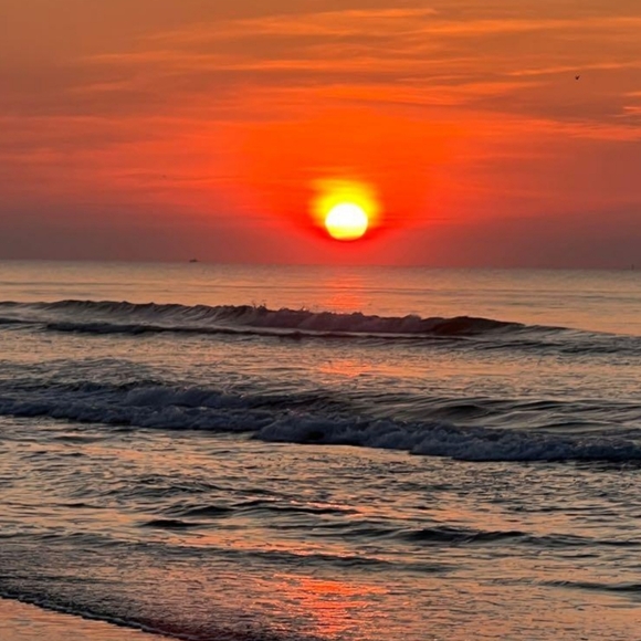 Pls Finish Up Sharing! Weekend Feb 20-22/ShareList&SignOut⬇️👒Sat Down South🌴 - Picture 4 of 13